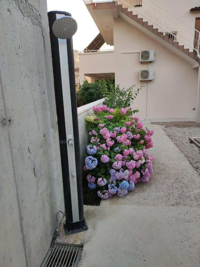 Apartment Ivana Brodarica  Exterior photo
