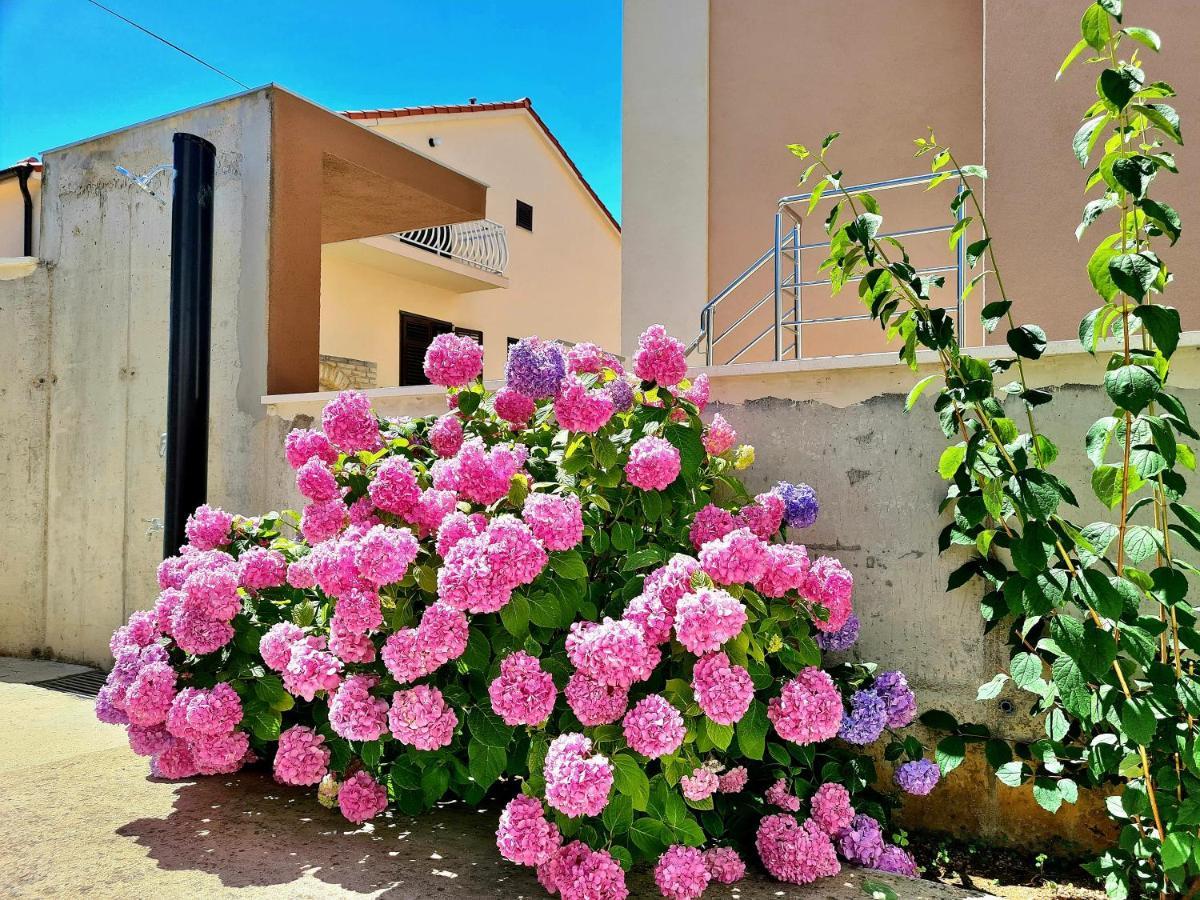 Apartment Ivana Brodarica  Exterior photo